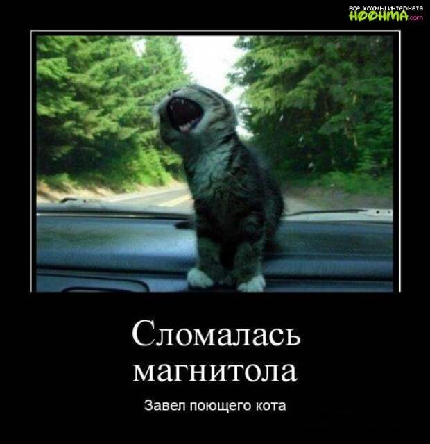 Отличная свежая подборка демотиваторов