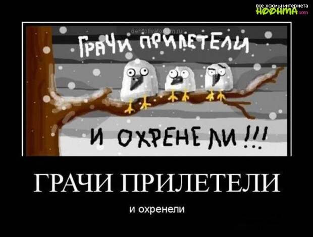 Отличная свежая подборка демотиваторов