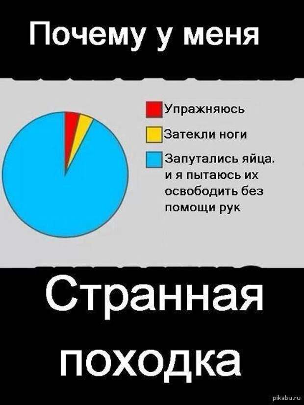 Весёлые фото и приколы Весёлые фото и приколы
