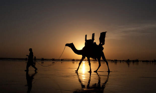 Силуэты Силуэты