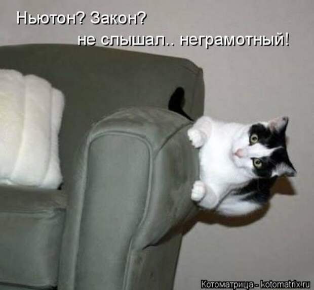 Свежая прикольная котоматрица (34 фото)