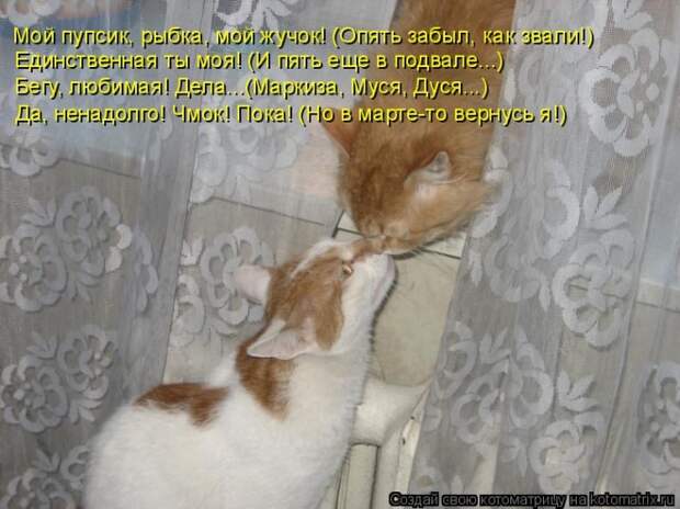 Мартовские коты. :)