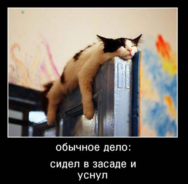 Пятничная подборка демотиваторов  демотиватор, юмор