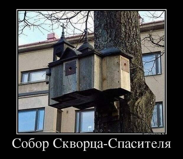 Демотиваторы демотиваторы, прикол, смех, юмор