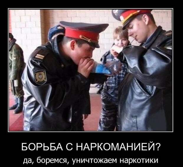 Демотиваторы (42 фото)