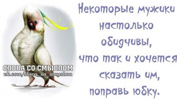 Веселые цитаты в картинках.