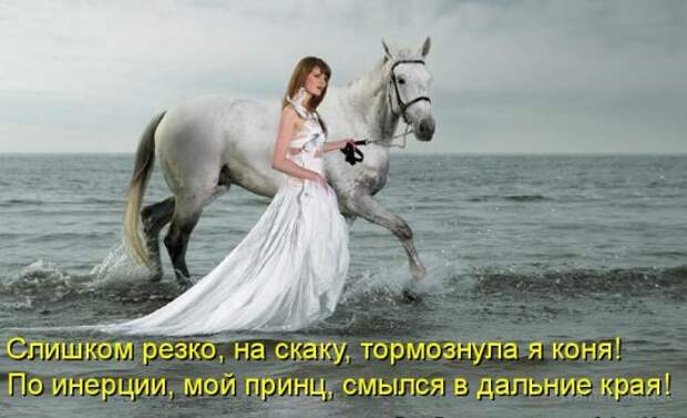 Летняя подборка Котоматриц 2010 - Выпуск 18