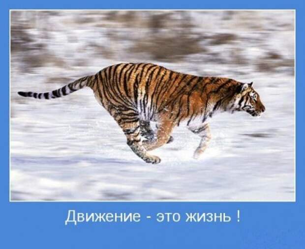 мотиваторы