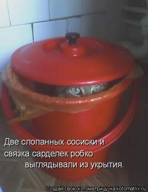 Котоматрица - Две слопанных сосиски и  выглядывали из укрытия. связка сарделек робко