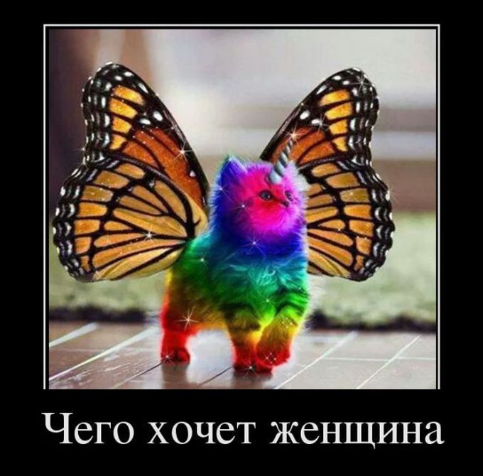 Чего хочет женщина демотиватор, юмор