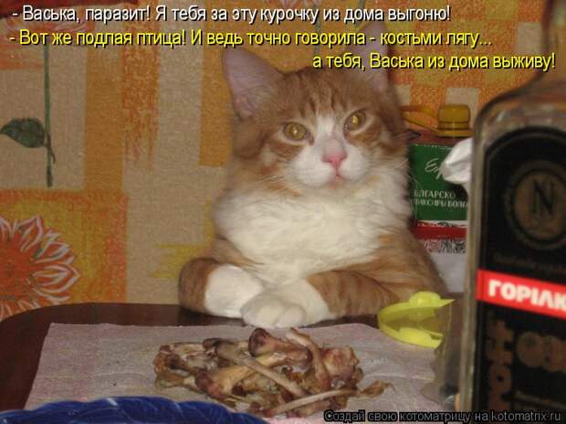 Котоматрица - - Васька, паразит! Я тебя за эту курочку из дома выгоню! - Вот же подл