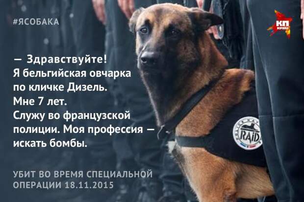 Наиль ВАЛИУЛИН