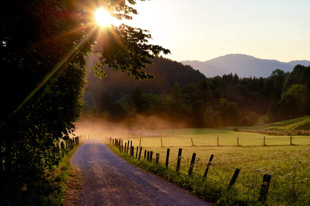 sunshine-landscape-in-the-mountain-valley-263140e3-62f4-4d1b-bb1e-c3f442ef3993 (700x466, 209Kb)