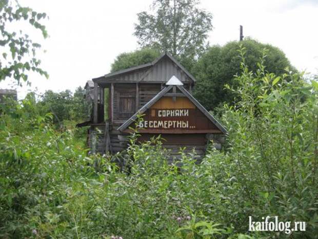 Дачные приколы (55 фото)