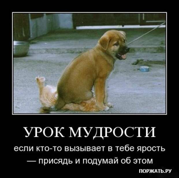 Отборные демотиваторы к понедельнику