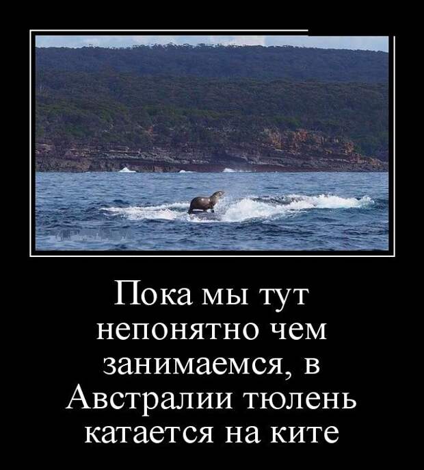 Демотиваторы