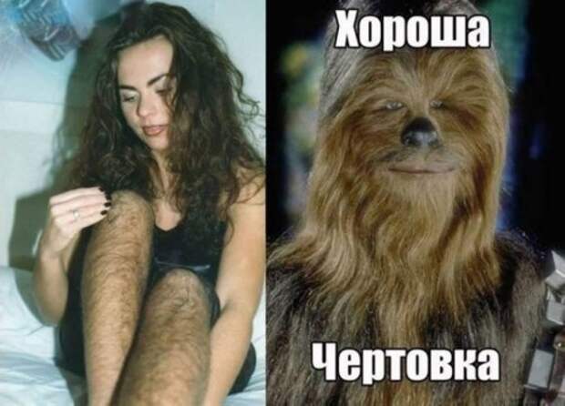 Доза позитива в фото-приколах (42 шт)