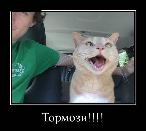 Демотиваторы (30 фото)