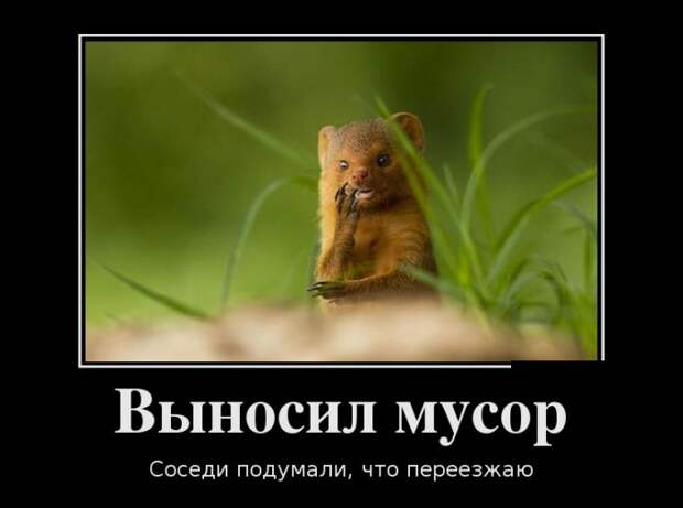 Демотиваторы демотиваторы, картинки, приколы
