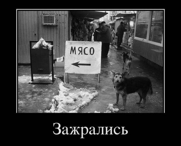 Демотиваторы " 101 %" 24/01/12