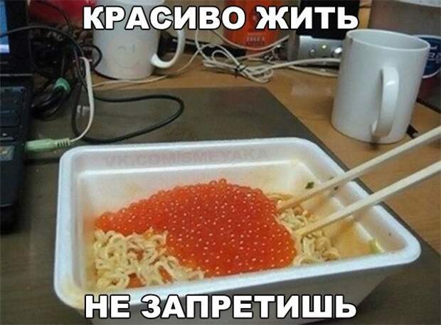Смешные картинки с надписями прикол, юмор