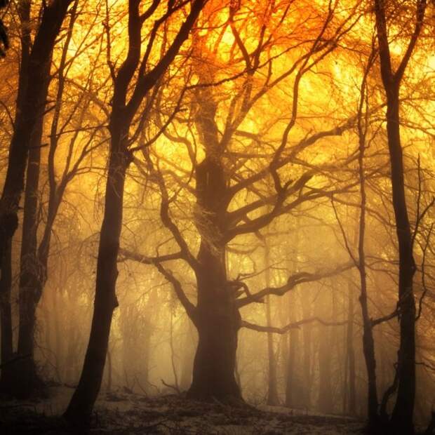 Красивые фотографии чешского фотографа Janek Sedlar