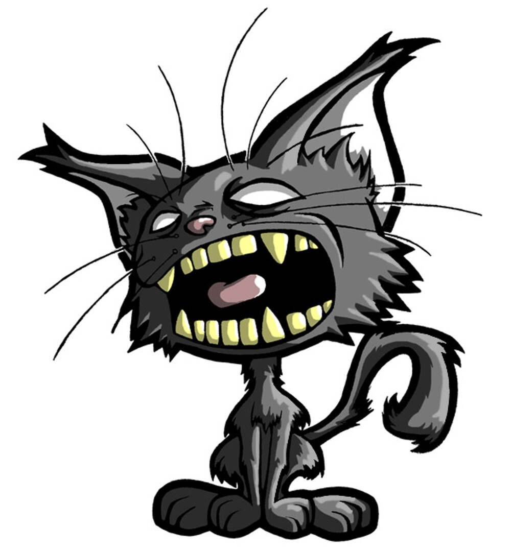 Включи картинки злой. Мультяшный кот. Бешеный кот. Злой кот. Злая кошка.