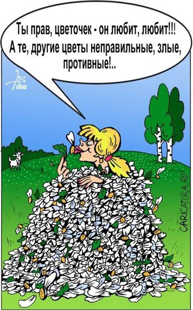 Карикатуры, настроение будет только лучше.