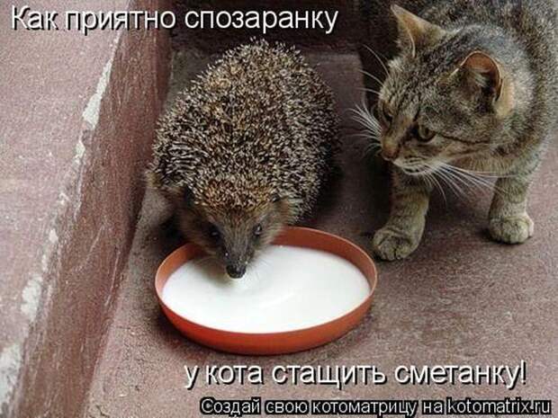Мысли вслух :)