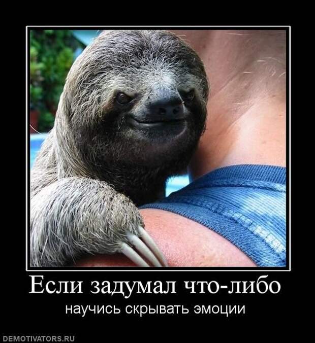 Демотиваторы
