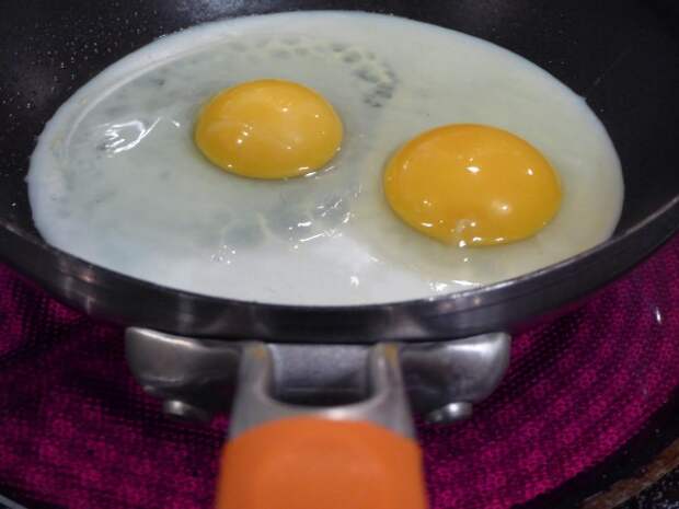 eggs