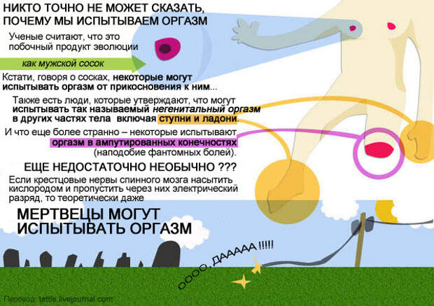 Вся правда об оргазмах оргазм, факты
