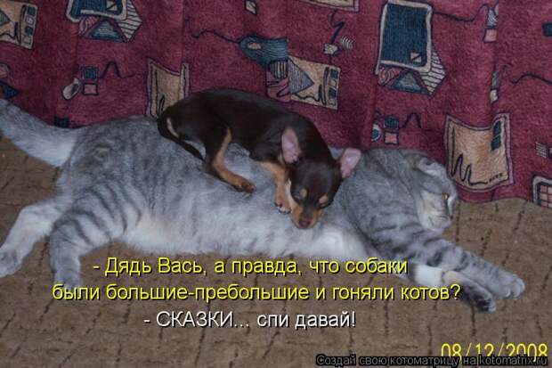 Котоматрица: - Дядь Вась, а правда, что собаки были большие-пребольшие и гоняли котов? - СКАЗКИ... спи давай!