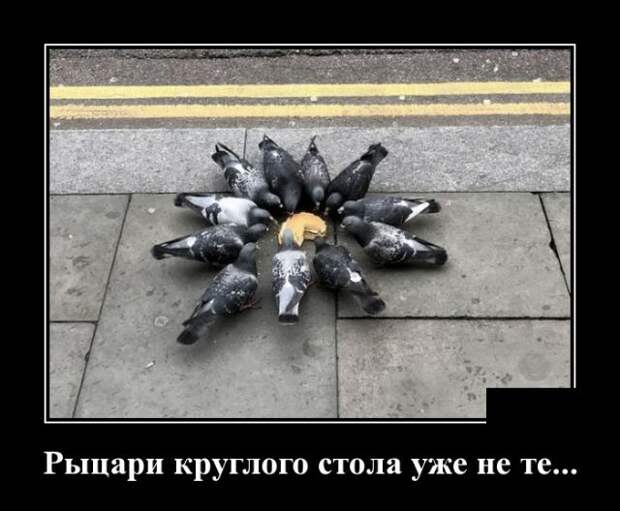 Свежие и веселые демотиваторы для пятничного настроения (10 фото)
