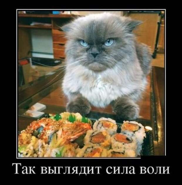 Демотиваторы демотиваторы, юмор