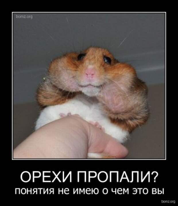 Прикольные демотиваторы для поднятия настроения!