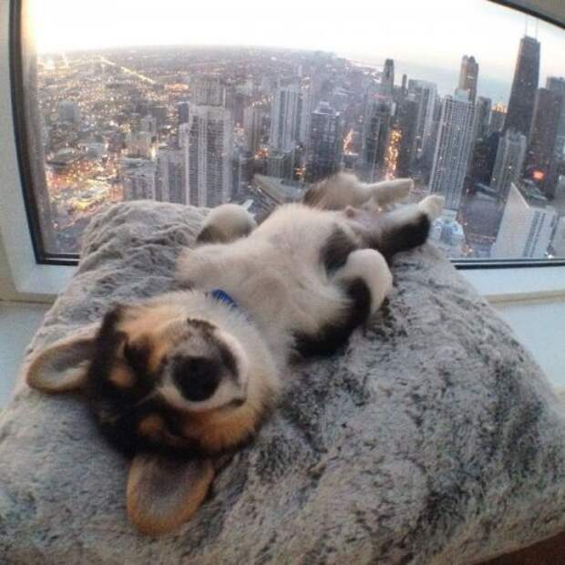 Классные и прикольные картинки (45 шт)