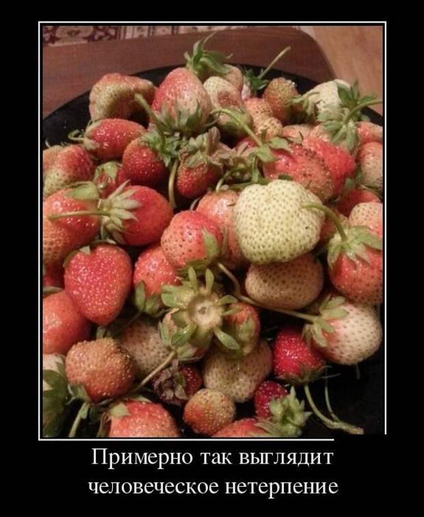 Демотиваторы, этакие для улыбки Демотиваторы, этакие для улыбки