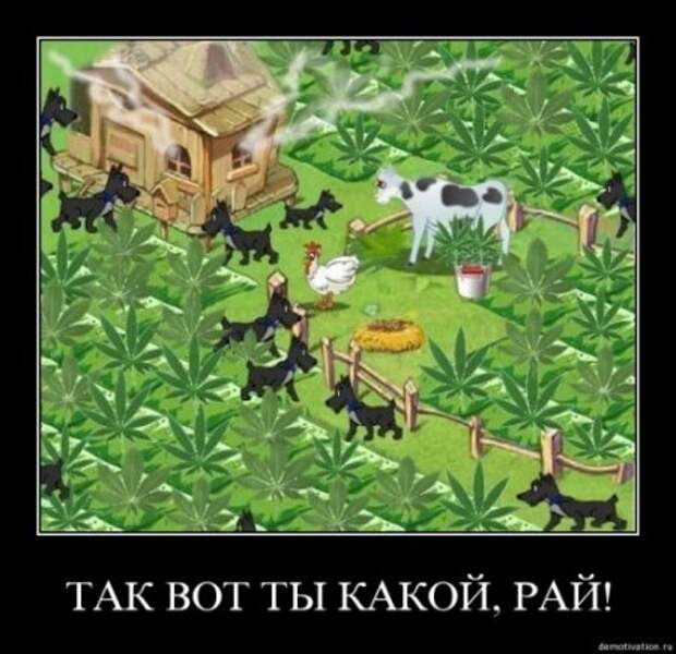 Новейшие демотиваторы все юморные.