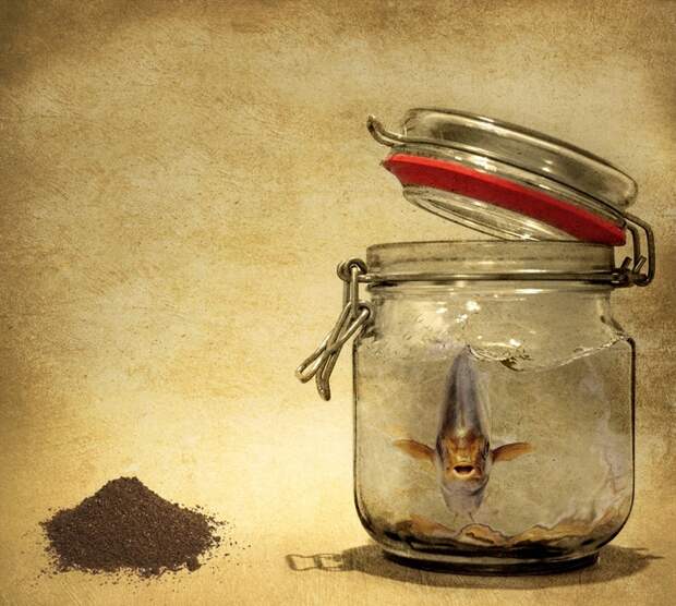 Как понятие НУЖНО руководит Вашей жизнью