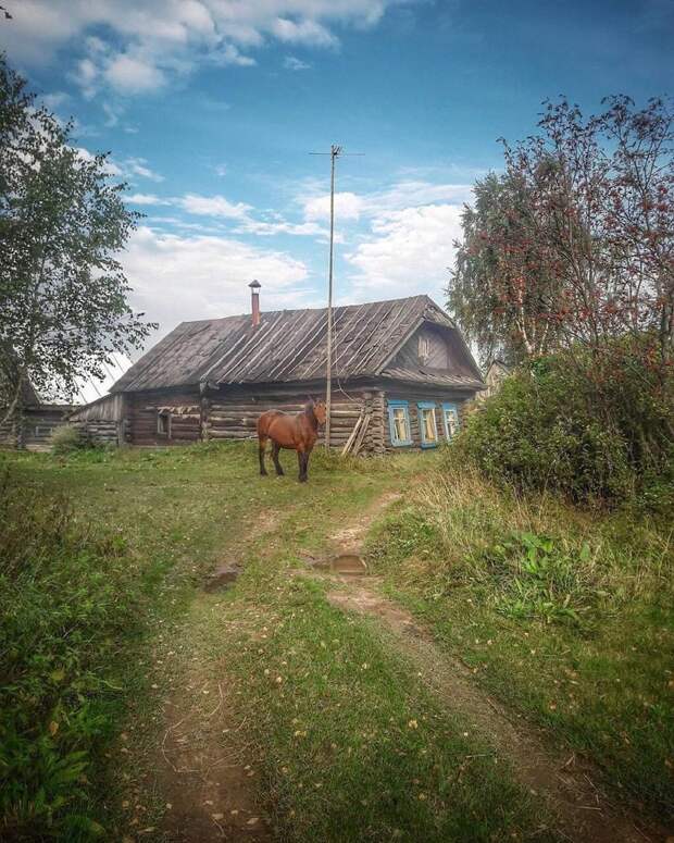 25 фотографий русской деревни, которые вернут вас в детство деревня, детство, ностальгия, русская деревня