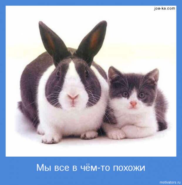 Немного картинок мотиваторов для раздумий.