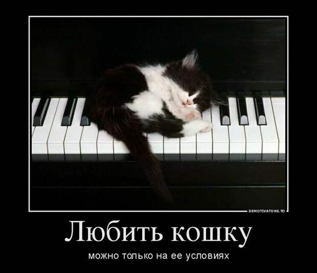 Демотиваторы демотиваторы, юмор