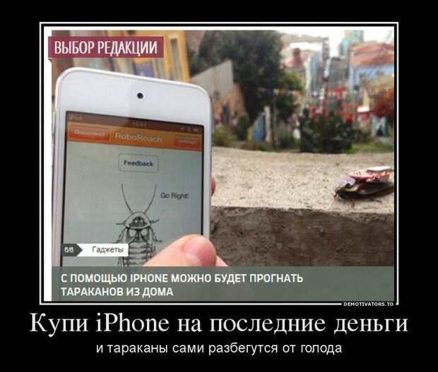 Демотиваторы демотиваторы