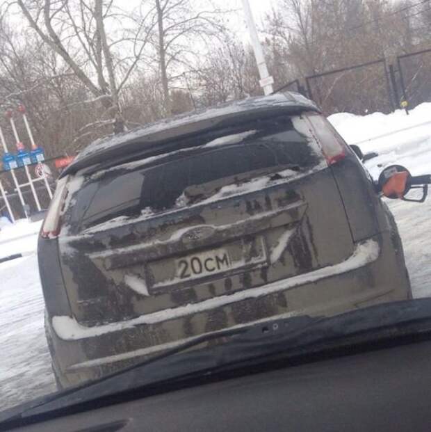Прикольные картинки