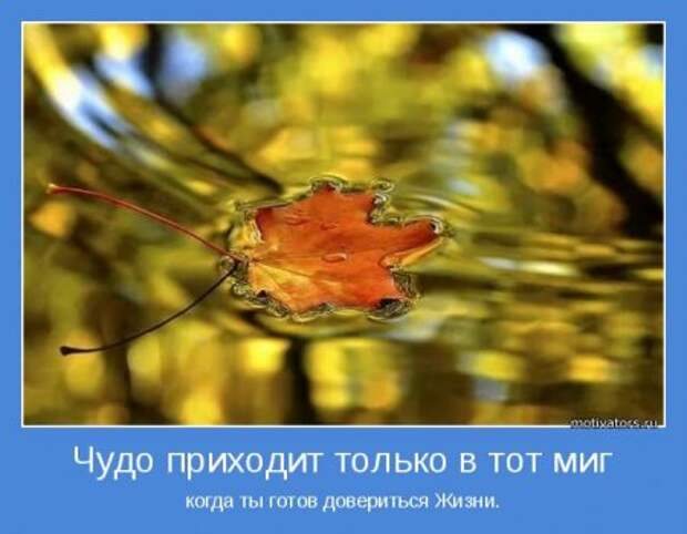 Смотрим, читаем и мотивируемся.