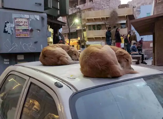 ���� � ������� ��� �������� ���������� � ���� ��������