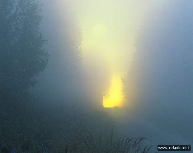 Andris_Eglitis_034 Andris_Eglitis_034