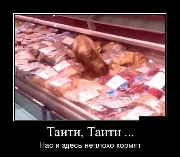 Демотиваторы. Наслаждайтесь!