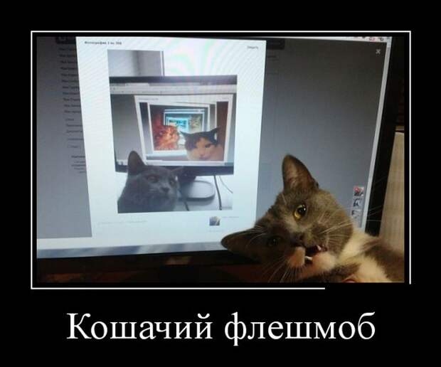 Демотиваторы №1102 (30 фото)